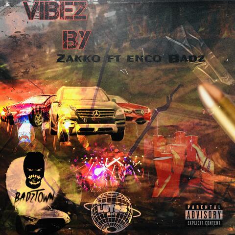 Vibez album art