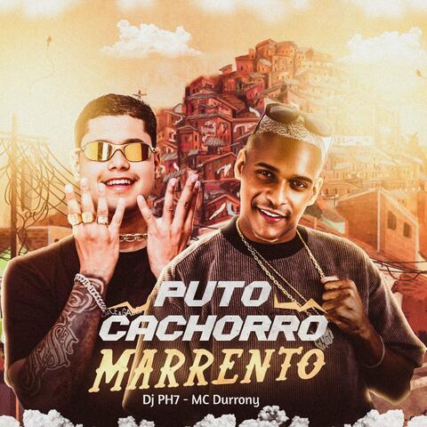 Puto Cachorro Marrento album art