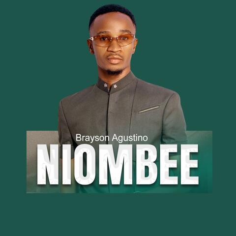 Niombee album art