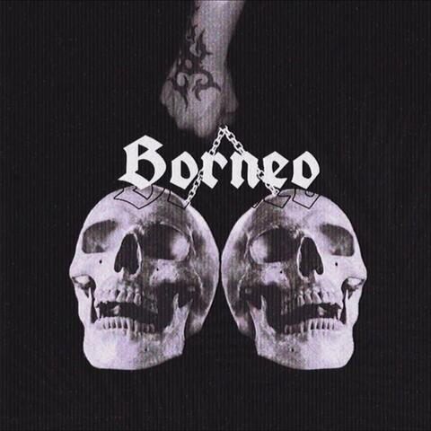 Borneo album art