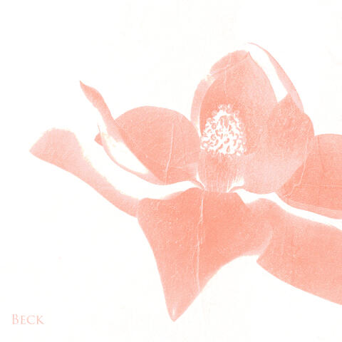 Rosie album art