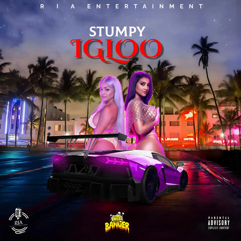Igloo album art