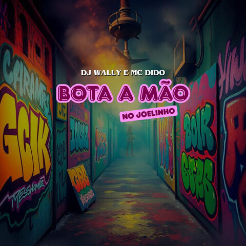 Bota a Mão no Joelinho album art