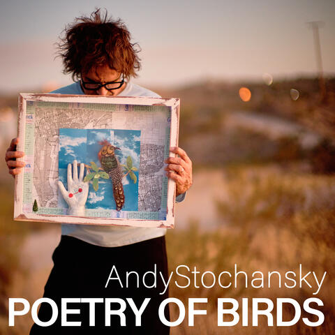 Poetry of Birds album art