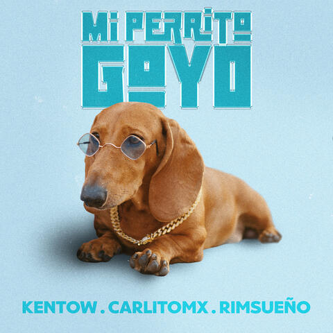 Mi Perrito Goyo album art