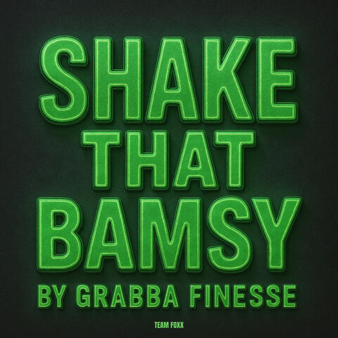 Shake That Bamsy album art