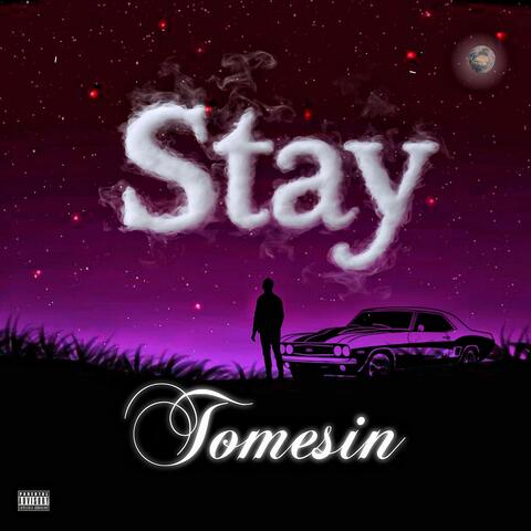 Stay album art