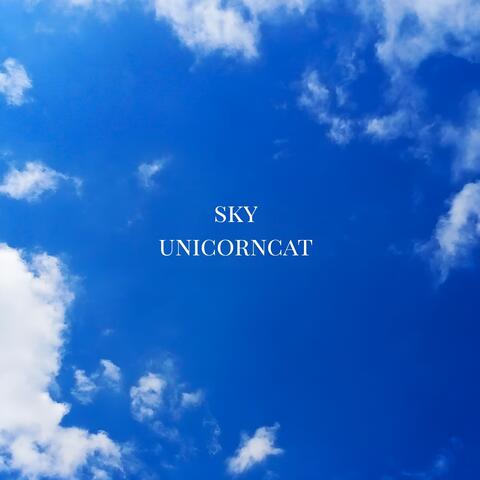 Sky album art
