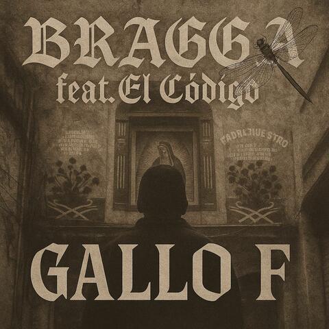 Gallo F album art