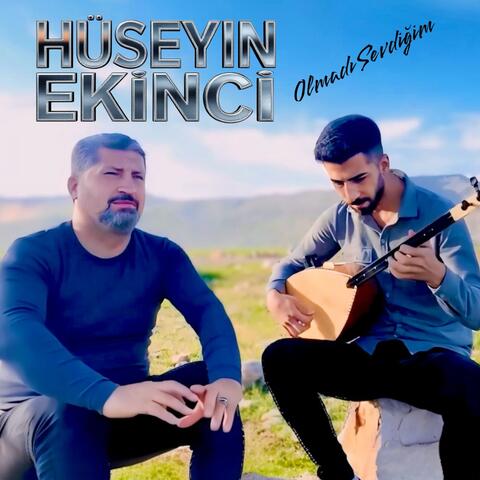 Olmadı Sevdiğim album art