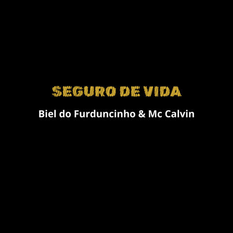 Seguro de Vida album art