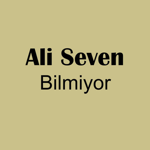 Bilmiyor album art