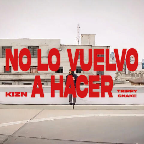 No Lo Vuelvo a Hacer album art