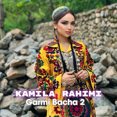 Garmi Bacha 2 album art