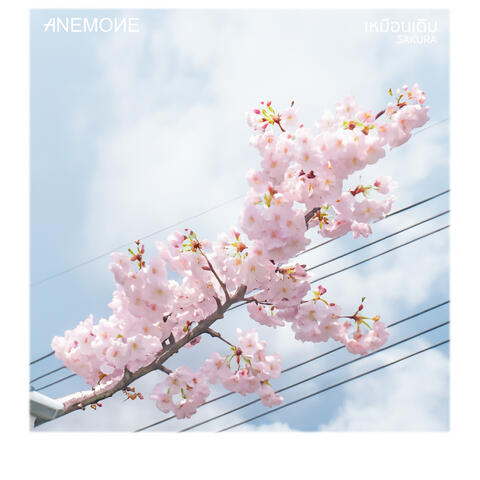 เหมือนเดิม album art