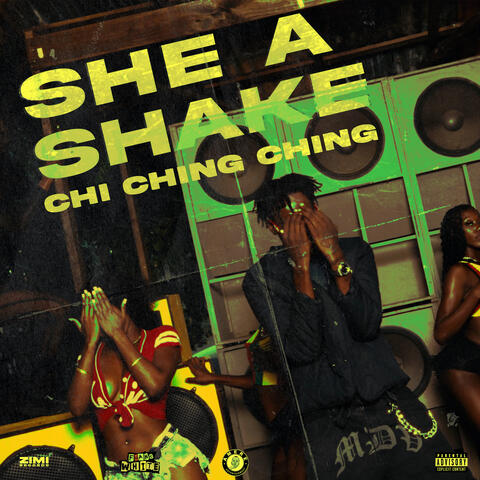 She a Shake album art