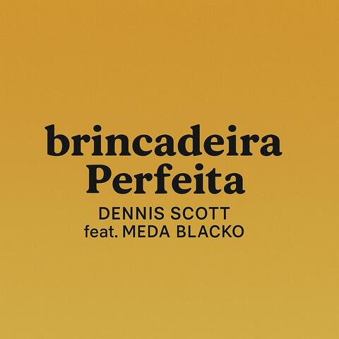 Brincadeira Perfeita album art