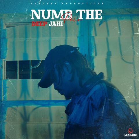 Numb the Pain album art