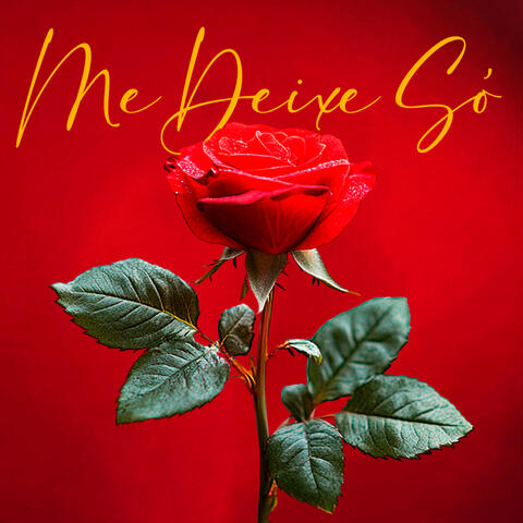 Me Deixe Só album art