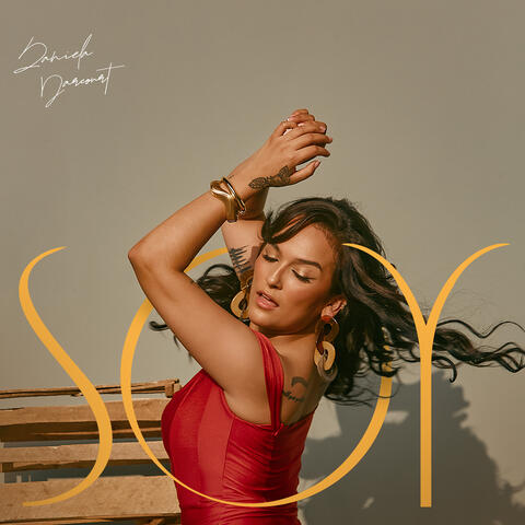 SOY album art