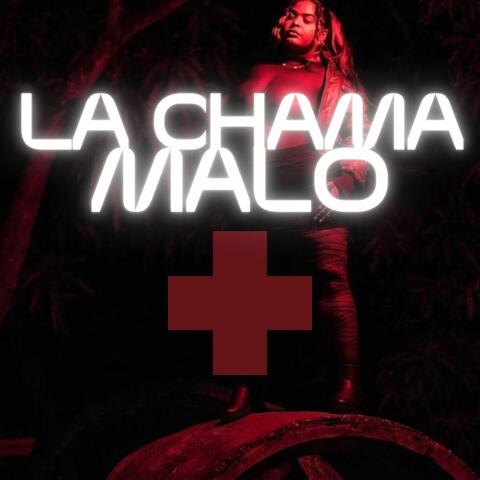 Malo album art