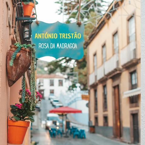 Rosa da Madragoa album art