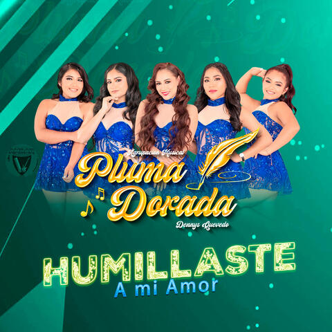 Humillaste a mi amor album art