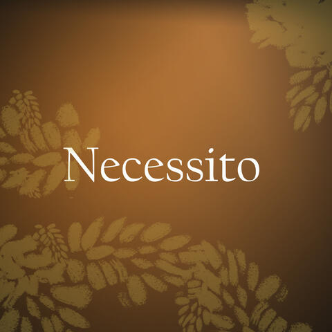 Necessito album art