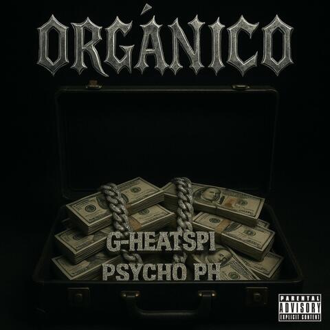 Orgánico album art