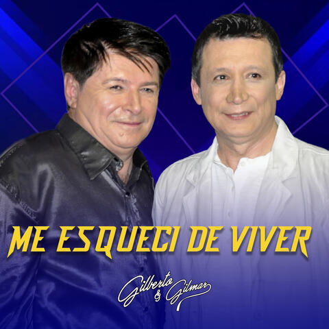 Me Esqueci de Viver album art