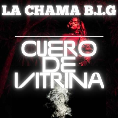 Cuero de Vitrina album art