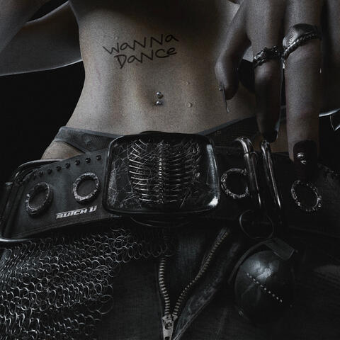 Wanna Dance album art