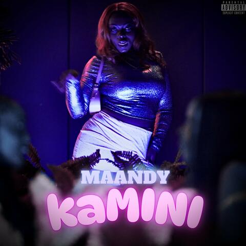 Kamini album art