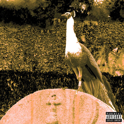 Localização album art