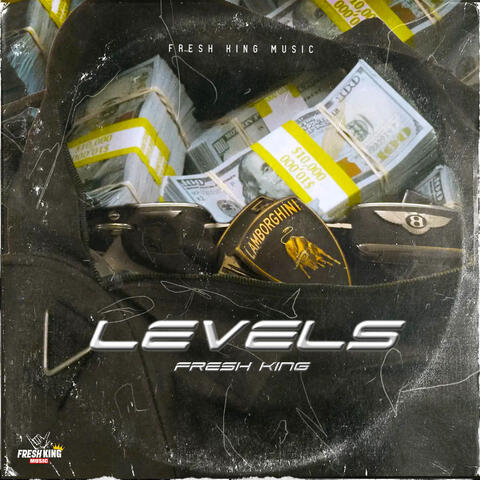 Levels album art