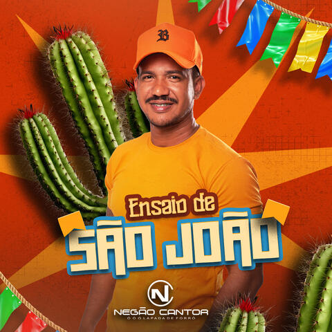 Ensaio de São João 2025 album art