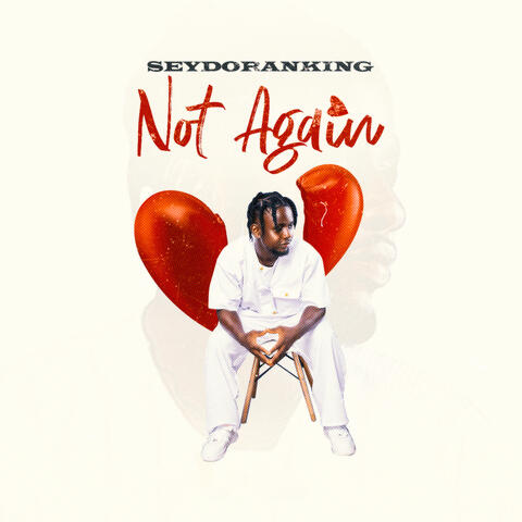 Not Again album art