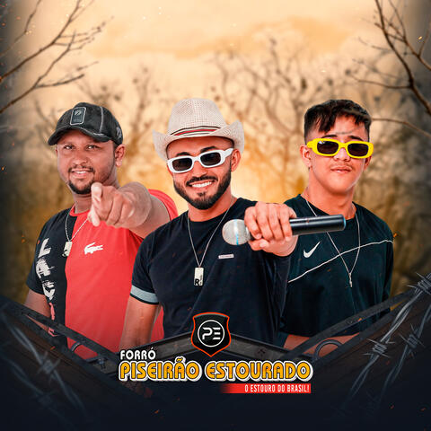 Só Forrozão 4.0 album art