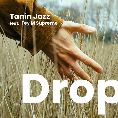 Drop album art