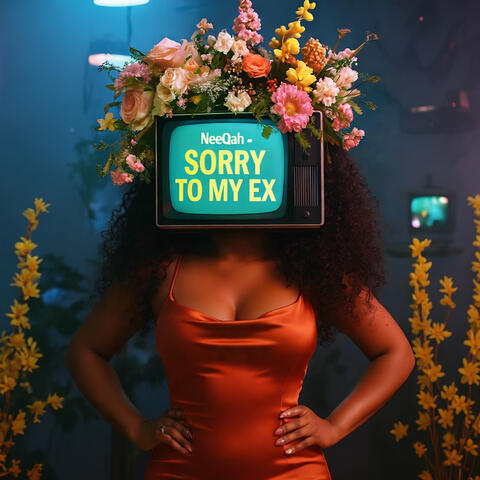 Sorry to My Ex album art