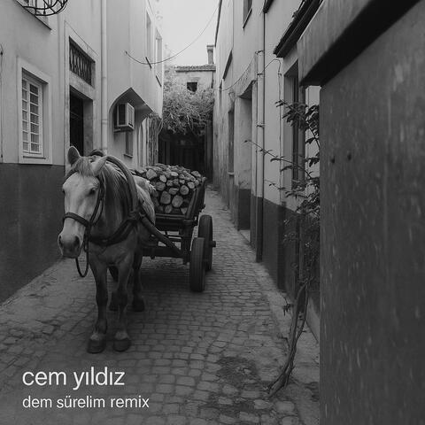 Dem Sürelim album art