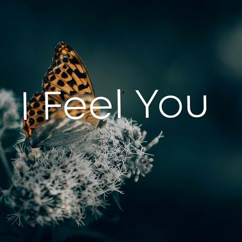 I Feel You album art