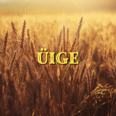 Üige album art