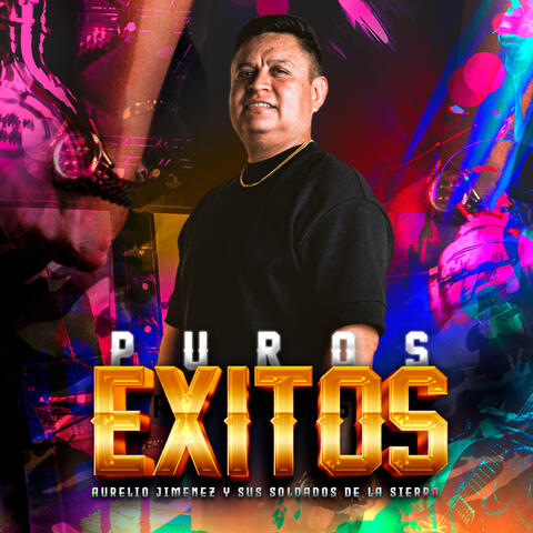 Puros Éxitos album art