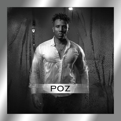 POZ album art