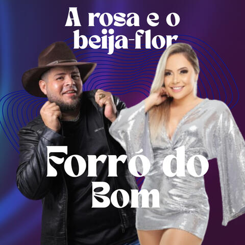 A Rosa e o Beija Flor album art