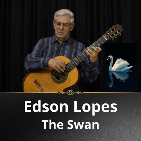The Swan album art