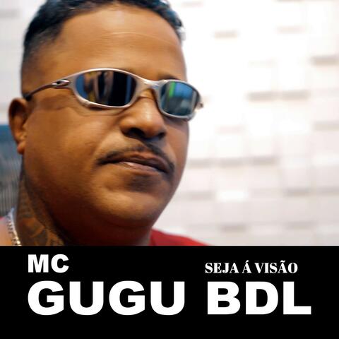 Seja a Visão album art