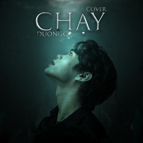Chạy album art