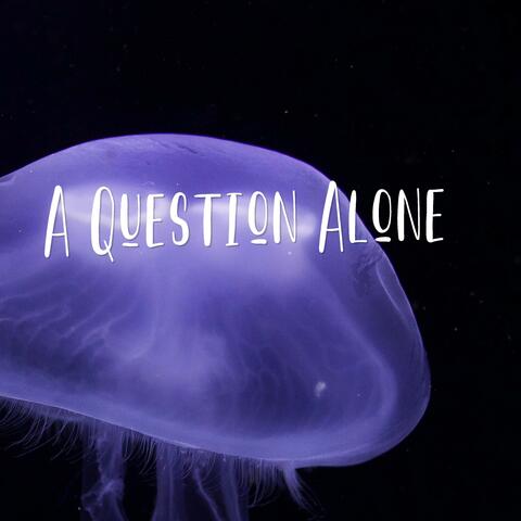 A Question Alone album art